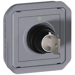 Legrand Plexo New Einsatz RONIS Schlüsselschalter 2 Positionen, Schraubklemmen (SK), IP 55, IK 08, grau
