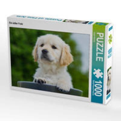 CALVENDO Puzzle Ein süßer Fratz 1000 Teile Lege-Größe 64 x 48 cm Foto-Puzzle Bild von Sigrid Starick