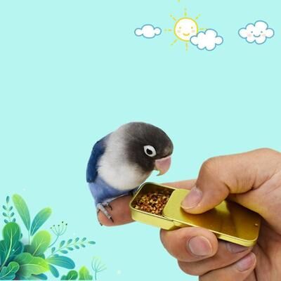 On Spot Shop Bird Training Food Jar, Parrot Handheld Feeder Cup, Interactive Educational Toy For Taming And Foraging pink