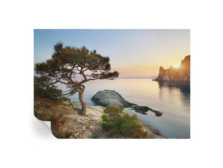 Wallfluent Fototapete 312x219 cm - Friedliche Natur, Blau, 312x219 cm, Tapeten & Wandverkleidungen, Fototapeten