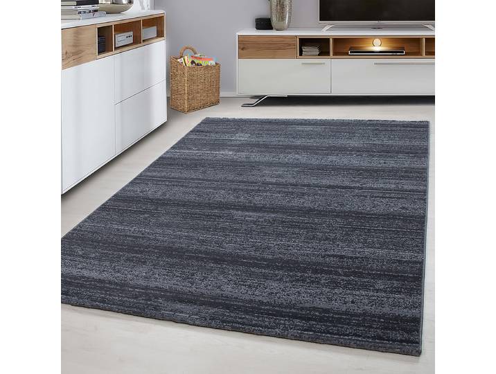 Kurzflorteppich Plus 8000 Grau/Grau 120 x 170cm Polyester