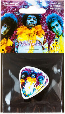 Dunlop Are You Experienced? Pick