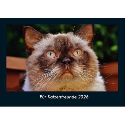 Für Katzenfreunde 2026 Fotokalender DIN A4