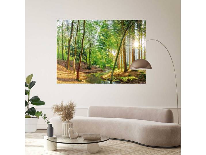 Poster REINDERS Wald in der Sonne , farbe bild(er): grün, Bilder, B/H/T: 140cm x 100cm x 0,1cm, Bäume, 1 Stk., Papier, Poster, Wohnzimmer - Grün - Papier - Wald - 140x100 cm, B:140cm H:100cm T:0,1cm