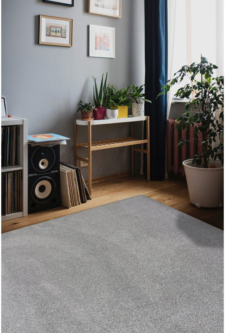 17 Stories Svamin Area Rug Grey Rectangle 100 x 150 cm