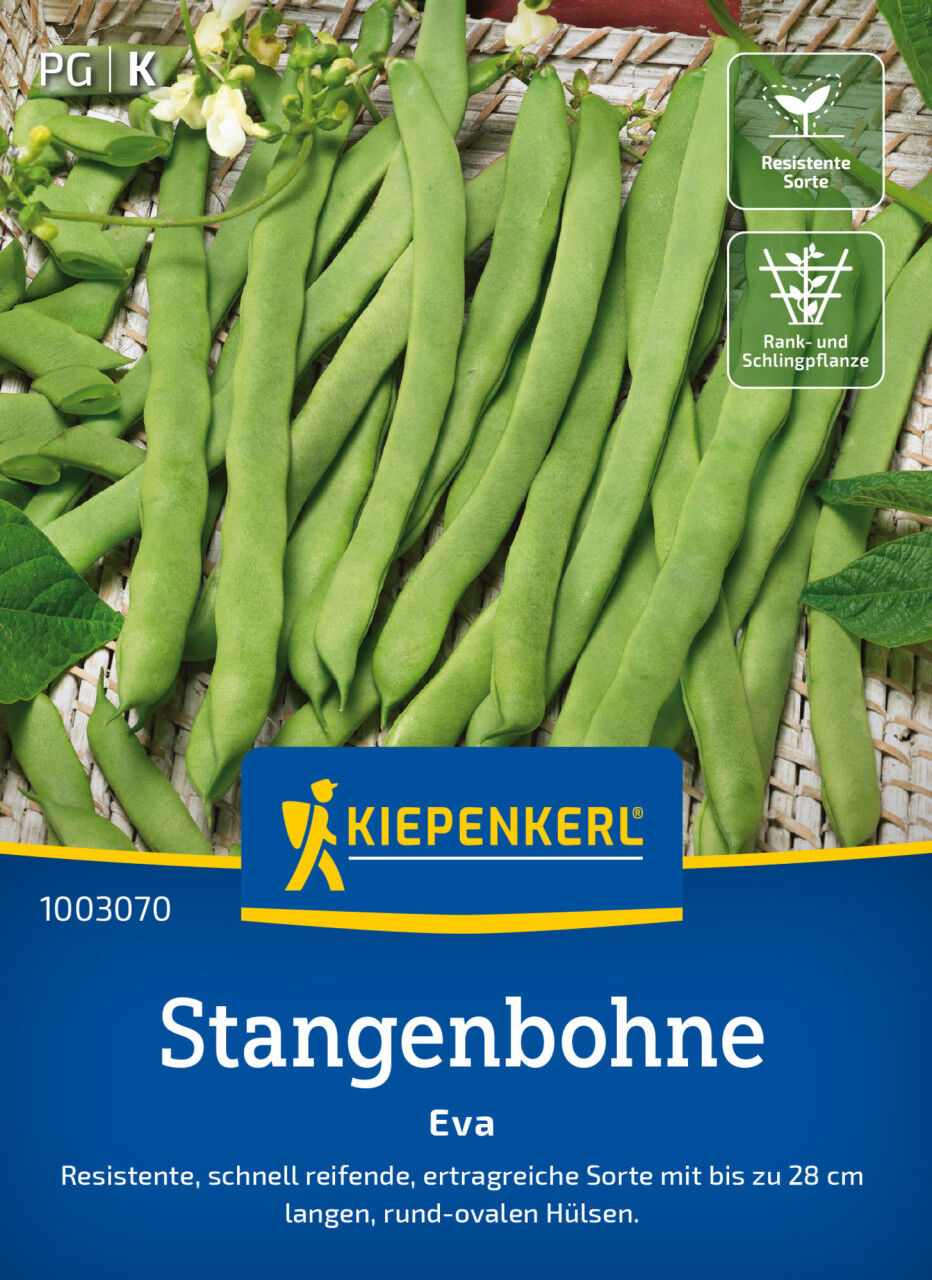 Kiepenkerl Saatgut Stangenbohnen Eva für ca. 15 Stangen