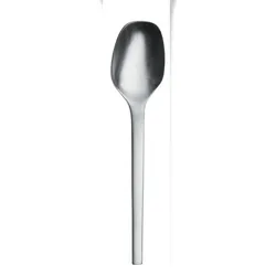 1 x Picard & Wielpütz TOOLS Gemüselöffel 6174