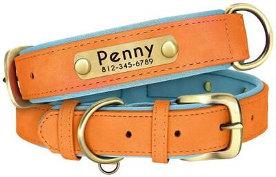 Uplift Picks Customized Personalized Dog Collar Soft Padded PU Leather Collar With Engraved Nameplate orange l (10 22.5kg)