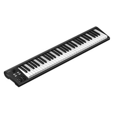 iCON Pro Audio Artist 61 (Keyboard) (110105A2031)