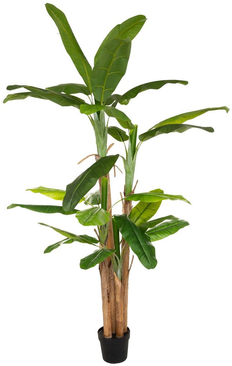 Atmosphera Kunstmatige Bananenboom