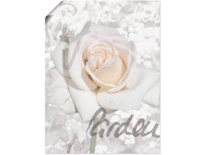 Wandbild ARTLAND In Lettern - Rose , weiss (farbe bild(er): weiß), B:45cm H:60cm, Bilder, Wandbild, als Leinwandbild, Poster in verschied. Grössen