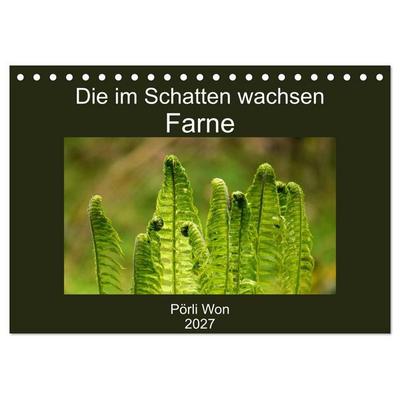 Die im Schatten wachsen - Farne (Tischkalender 2027 DIN A5 quer), CALVENDO Monatskalender
