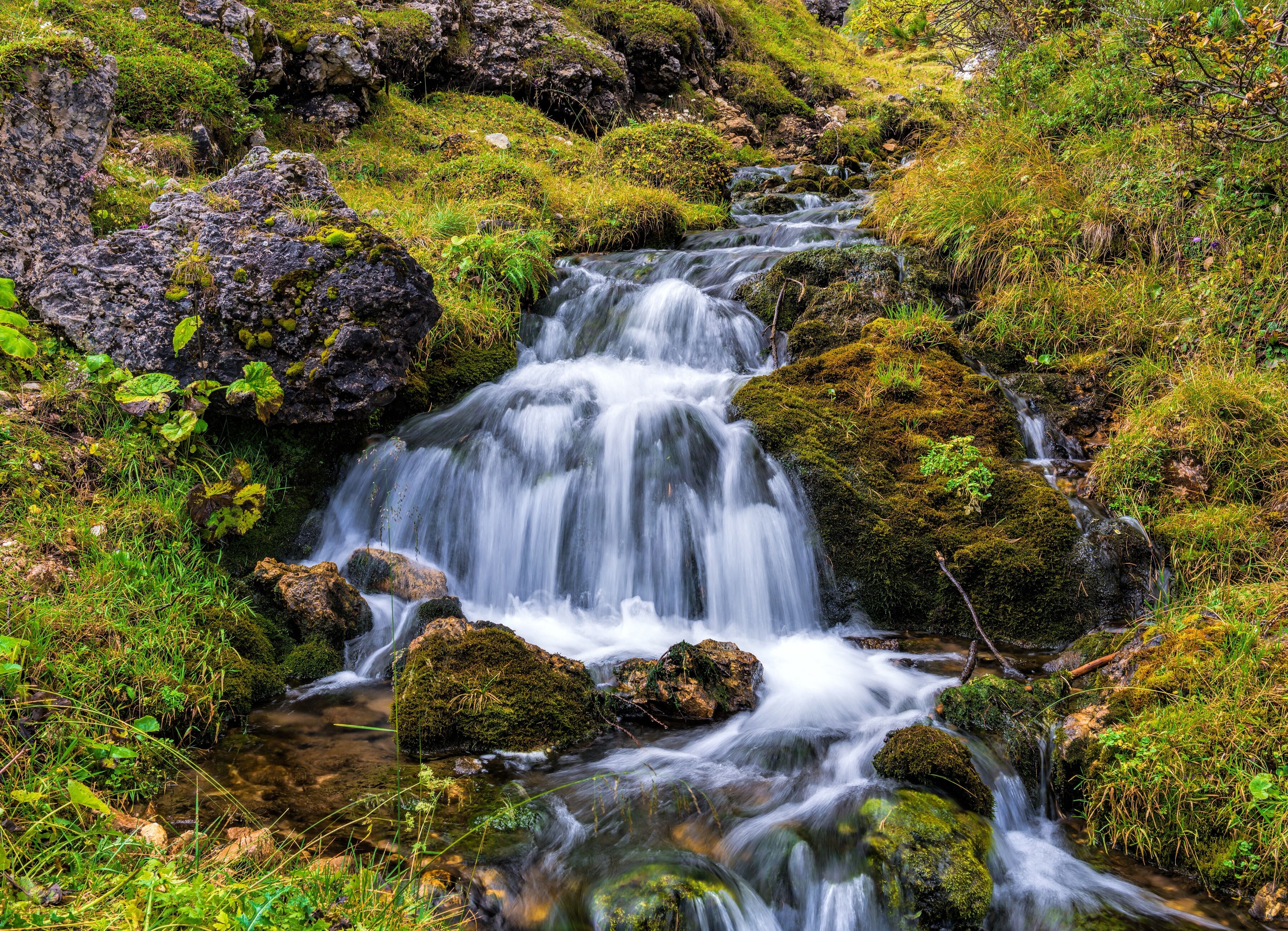 Fototapete PAPERMOON "Mountain Stream in Dolomites", bunt, B:5m L:2,8m, Vlies, Tapeten, Fototapete bunt B/L: 5m x 2,8m, Bahnen: 10 Stk.