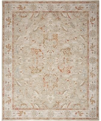 Nourison Asher Indoor only Persian Floral Medallion Area Rug