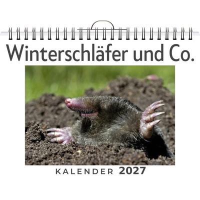 Winterschläfer und Co.