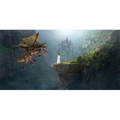 Fototapete PAPERMOON "Prinzessin und Drache", bunt, B:4,5m L:2,8m, Vlies, Tapeten