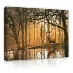LEINWANDBILDER Natur Wald Hische 120x80