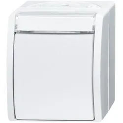 Busch-Jaeger Wechselschalter 2601/6 WN-54
