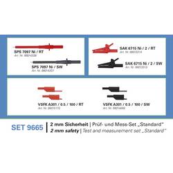 Schützinger SET 9665 Messleitungs-Set 1 Set 99023420