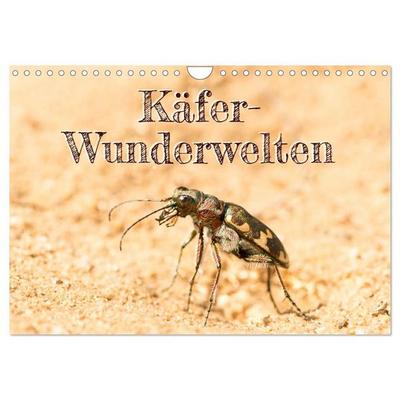 Käfer-Wunderwelten (Wandkalender 2027 DIN A4 quer), CALVENDO Monatskalender