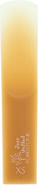 Forestone Unfiled Tenor Saxophone XS