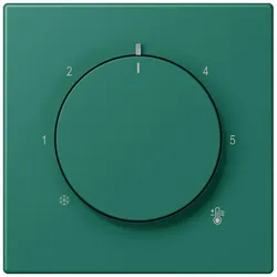 Jung Abdeckung für Thermostat LC 1749 BF 216