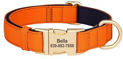 Inspire Essentials Personalized Waterproof Dog Collar With Soft Padding orange m