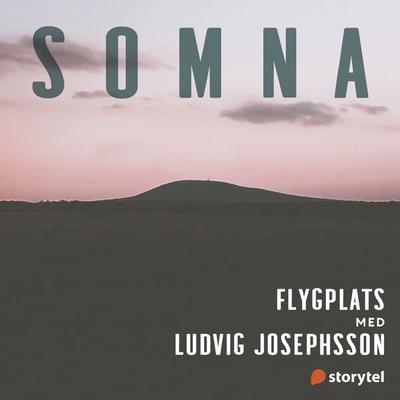 Flygplats - Helena Kubicek Boye, Audio, 9789179097998