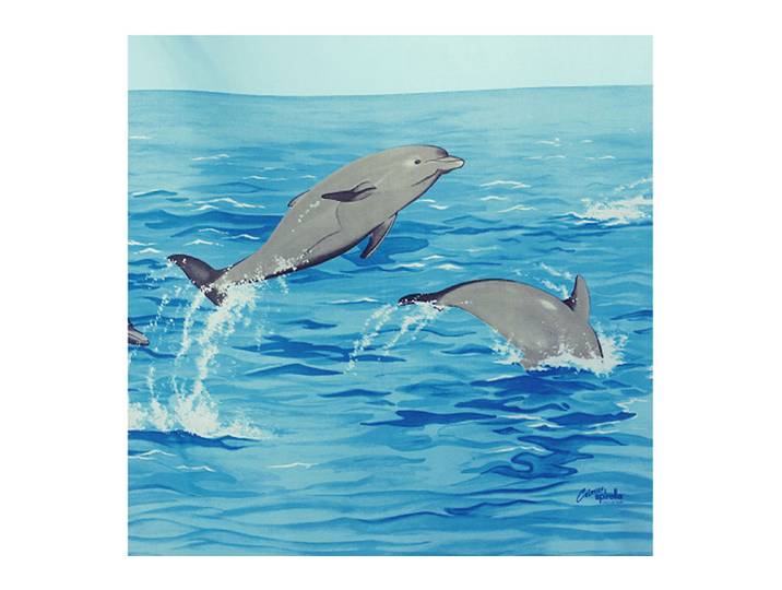 Spirella Duschvorhang Aqua mit Delfin-Motiv 180 × 180 cm