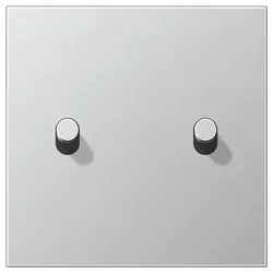 JungAbdeckung mit 2 Kipphebeln Zylinder(Aluminium)