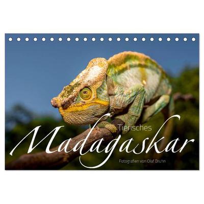 Tierisches Madagaskar (Tischkalender 2026 DIN A5 quer), CALVENDO Monatskalender