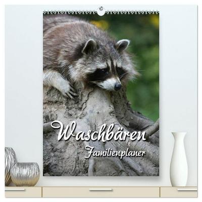 Waschbären Familienplaner (hochwertiger Premium Wandkalender 2027 DIN A2 hoch), Kunstdruck in Hochglanz