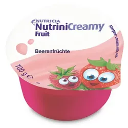NUTRINI Creamy Fruit Beerenfrüchte 4X100 g