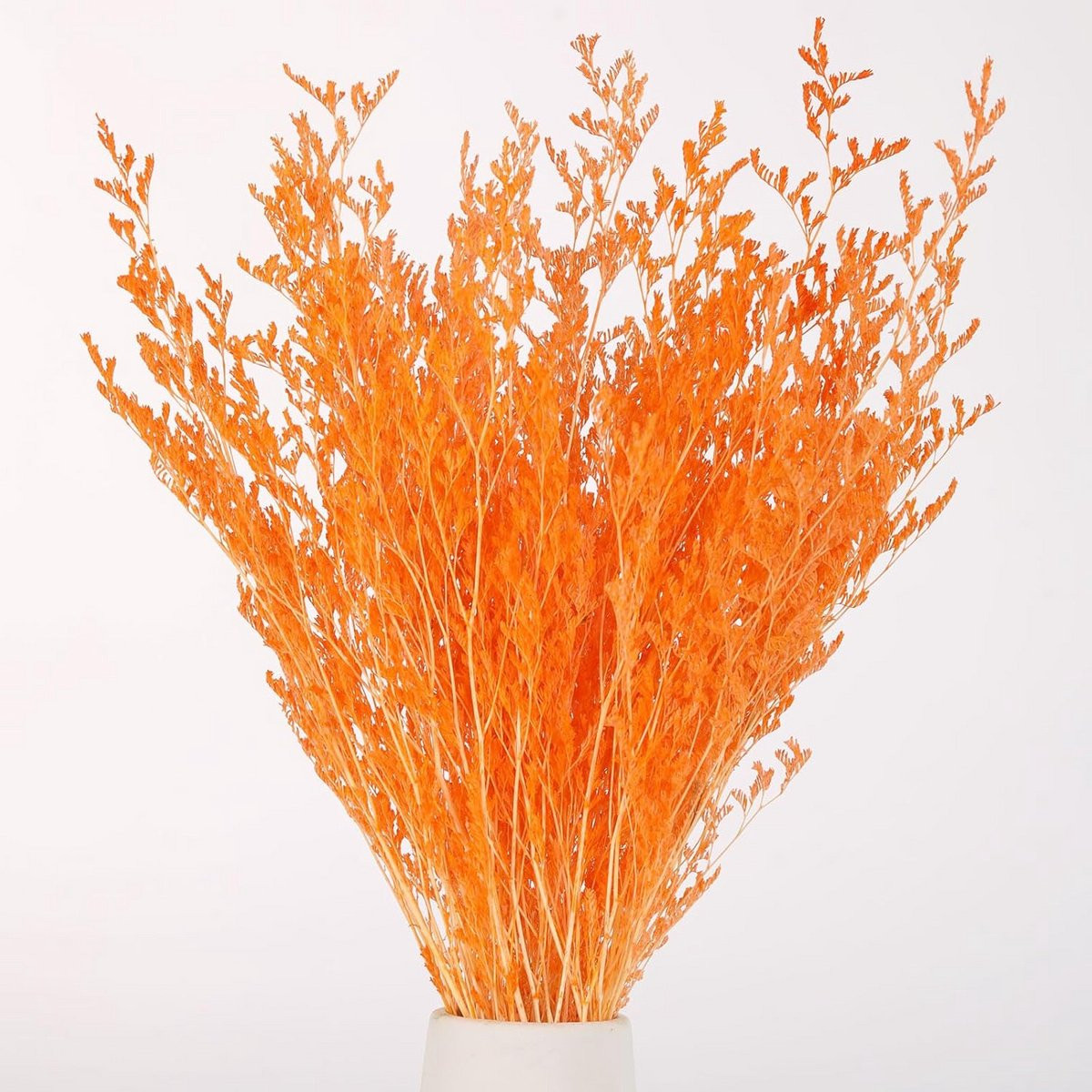 Boeket gedroogde bloemen Caspia en lavendel voor natuurlijke decoratie bij bruiloften
