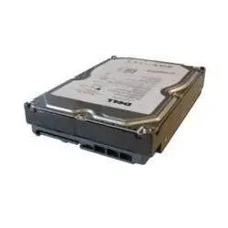 Dell Festplatte 1 TB (1 TB, 3.5"), Festplatte