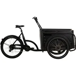 BBF eCargorider 3.1 Royal Lastenrad 26/24 Zoll Elektro Lastenfahrrad Cargo Bike Damen Herren Cargo Cycle bis 132 kg Zuladung
