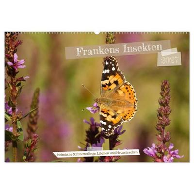 Frankens Insekten (Wandkalender 2027 DIN A2 quer), CALVENDO Monatskalender