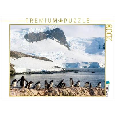 CALVENDO Puzzle Pinguin Kolonie im Naturparadies Antarktis | 2000 Teile Lege-Größe 90x67cm Foto-Puzzle für glückliche Stunden