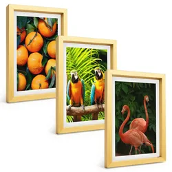 BILDER SET 3er Set - 20x30 cm Goldrahmen - Fruchtige Akzente in den Tropen