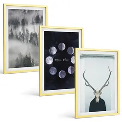 BILDER SET 3er Set - 40x60 cm Goldrahmen - Waldlandschaft, Nebel, Mond, Hirschschädel