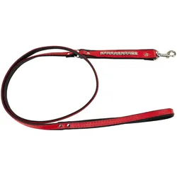 PETS Collection Smycz dla psa, wzr kostki, 25MM/110CM czerwona (Hund), Halsband + Leine