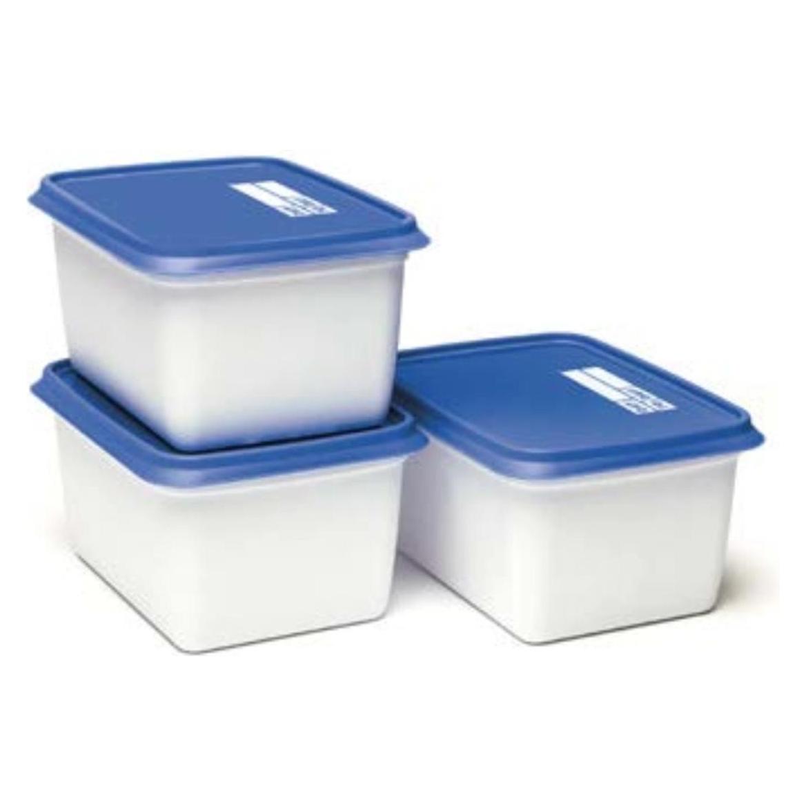 Day To Day Gefrierbox-Set 3x1000ml Alaska (1 l) (DAY004)