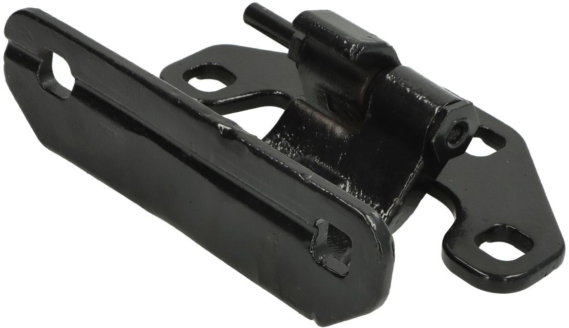 Pacol Cerniera della portiera MER-DH-017