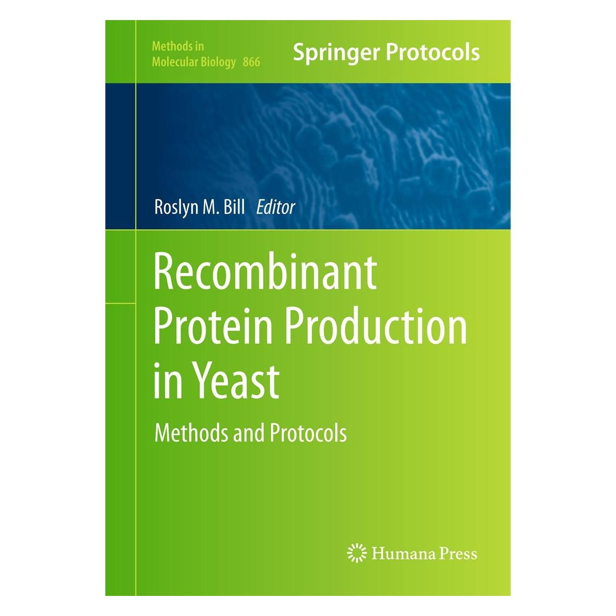 Humana Press Recombinant Protein Production in Yeast (Englisch, Hardcover, Roslyn M. Bill) (9781617797699)
