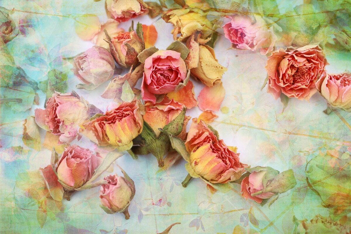 Papermoon "Vintage Rosen" bunt B/L: 1,5m x 1,11m, Bahnen: 7 Stk.
