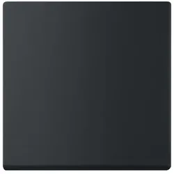 Busch-Jaeger 6735BT-885 Wippe für Smart Switch 1-fach schwarz matt - Plattform 63 2CKA006730A0150 6735BT885