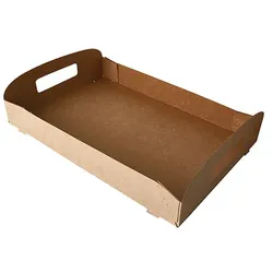 PAPSTAR 10 Tragetabletts, Pappe "pure" 4,5 cm x 35 cm x 24 cm braun "100% Fair"