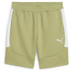 PUMA teamEvostripe Shorts Herren 40 - calming green/puma silver/puma white 3XL