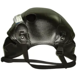 Bagster, Motorrad Zubehör, motorrad-tankschutz thunderbird 900