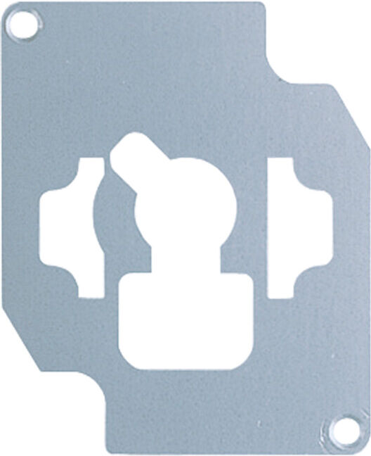 Jung Plaque de verrouillage pour commutateur à clé 18 V (18V)